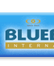 Bluebook International, Inc.